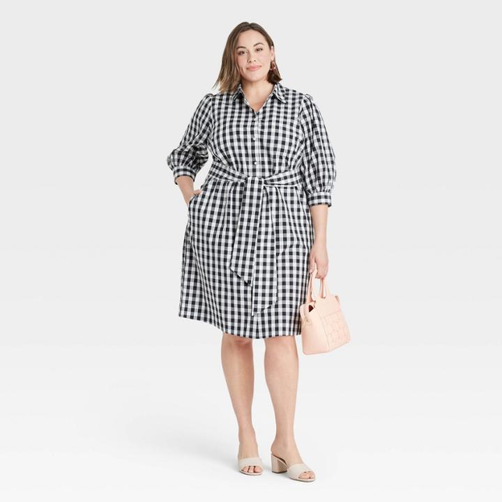 Women's Plus Size Long Sleeve Gingham Poplin Shirtdress - Ava & Viv Black X