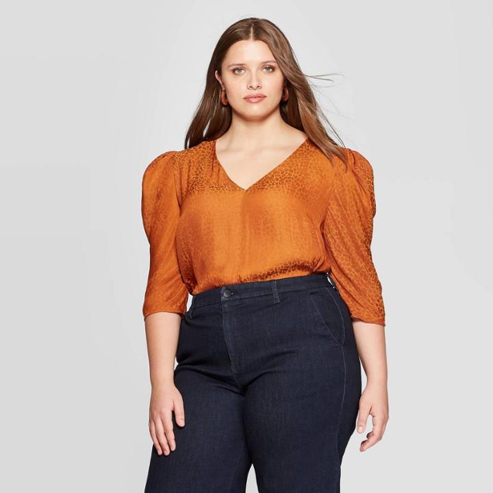 Women's Plus Size Leopard Print 3/4 Sleeve V-neck Blouse - A New Day Rust, Women's,