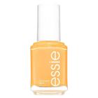 Essie Nail Color Without Reservations