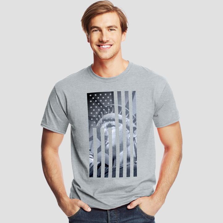 Hanes Men's Short Sleeve Graphic T-shirt - Gray