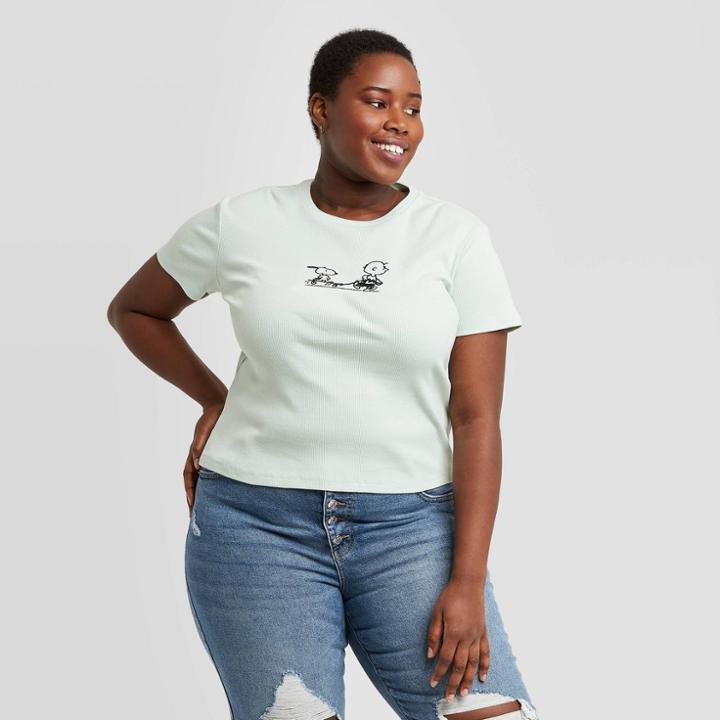 Women's Peanuts Charlie Brown & Snoopy Plus Size Short Sleeve Graphic T-shirt - Light Blue