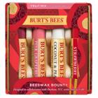 Burt's Bees Beeswax Bounty Lip Balm - Fruit