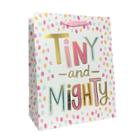 Spritz Tiny And Mighty Cub Gift Bag -