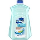 Dial Liquid Hand Soap Refill - Coconut Water & Mango
