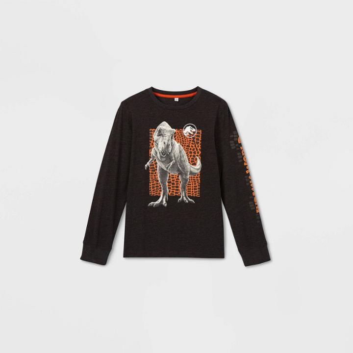 Boys' Jurassic World Long Sleeve Graphic T-shirt - Gray