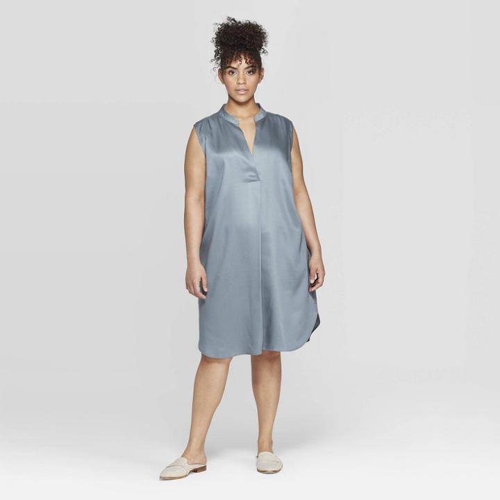 Women's Plus Size Sleeveless Deep V-neck Tunic Dress - Prologue Blue