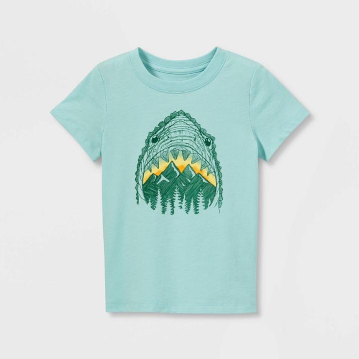Toddler Boys' Shark Mountain Short Sleeve Graphic T-shirt - Cat & Jack Blue