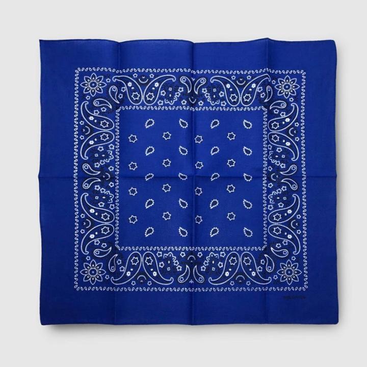 No Brand Adult Unisex Essential Bandana - Blue