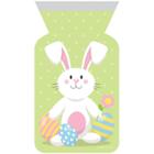 Creative Converting 12ct Easter Bunny Zipper Favor Bag Green