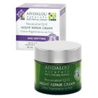 Andalou Naturals Resveratrol Q10 Night Repair Cream