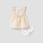 Baby Girls' Jacquard Dress - Cat & Jack Cream Newborn, Ivory