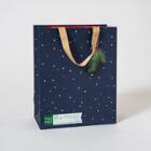 Bamboo Dotty Gift Bag Blue - Ig Design Group