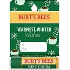 Burt's Bees Warmest Winter Wishes Lip Balm - Mint Cocoa