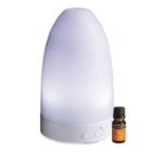 Aroma Diffuser Starter Kit With 5ml Orange Oil - Candle Warmers Etc.