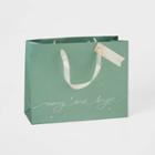 Merry & Bright Gift Bag Sage - Wondershop