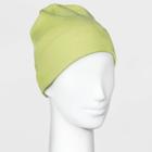 Women's Essential Beanie - A New Day Neon One Size, Green
