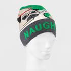 Bioworld Men's Naughty Dog Beanie - Green