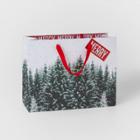 Trees Large Vogue Gift Bag - Wondershop