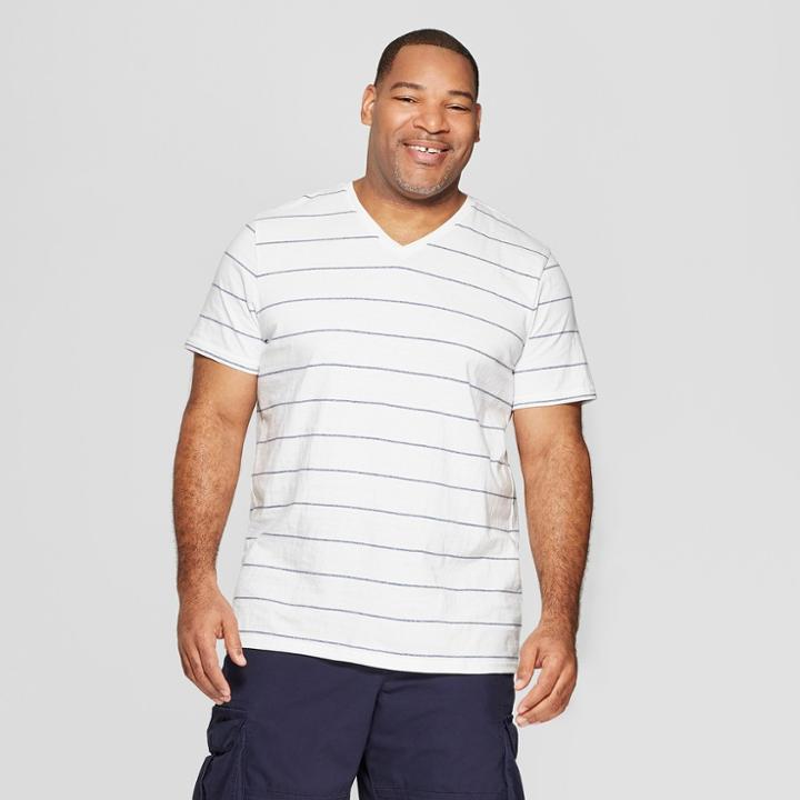 Men's Big & Tall Striped Regular Fit Short Sleeve Novelty V-neck T-shirt - Goodfellow & Co White