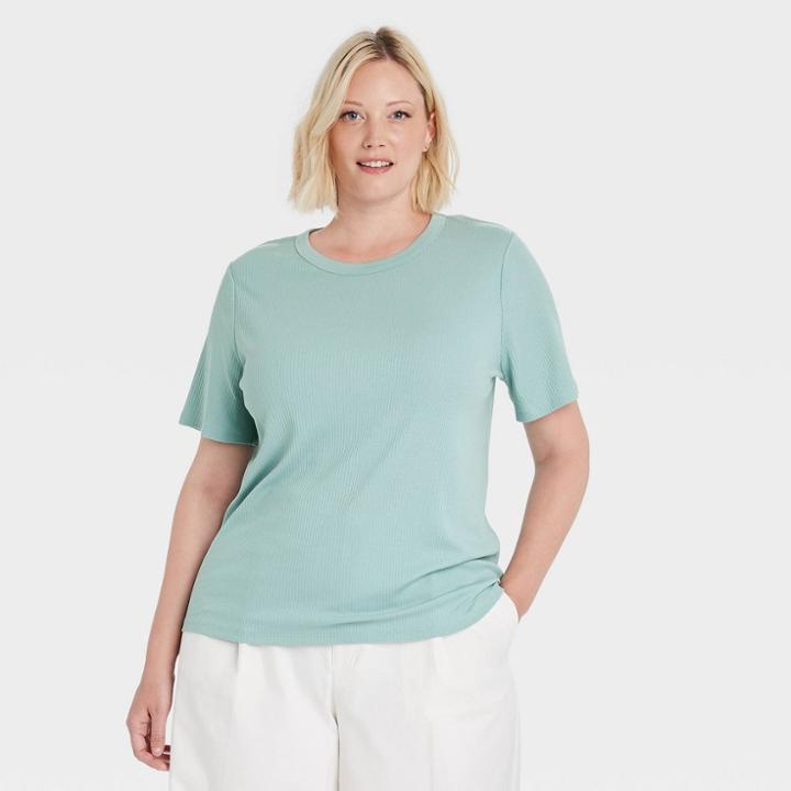 Women's Plus Size Short Sleeve Ribbed T-shirt - A New Day Blue