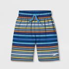 Speedo Boys' Cliff Side Striped Swim Trunks - Blue