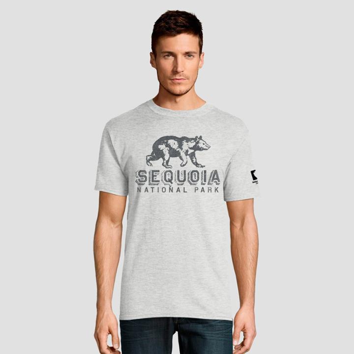 Hanes Men's Short Sleeve National Parks Sequoia Graphic T-shirt - Gray