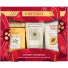 Burt's Bees Face Essentials Giftset