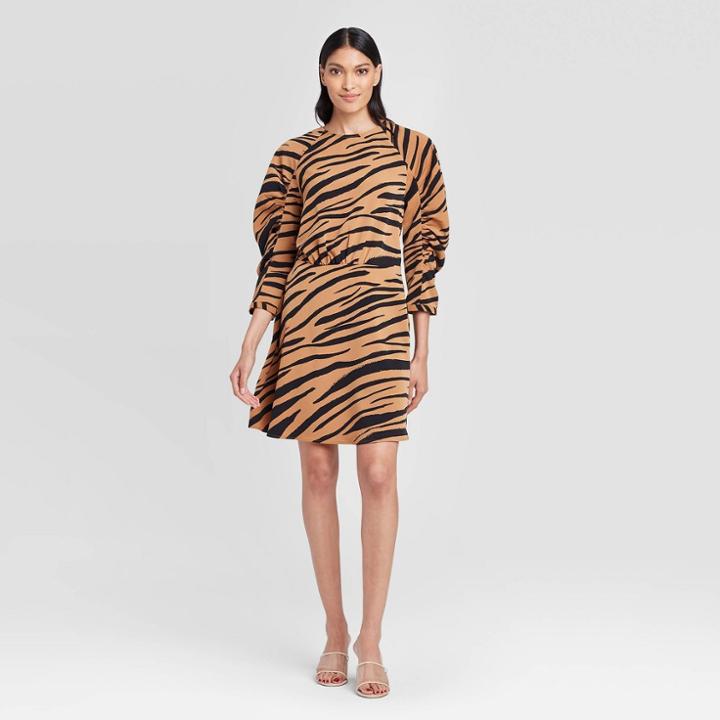 Women's Animal Print Long Sleeve Boat Neck A Line Mini Dress - Who What Wear Brown
