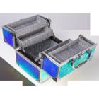 Caboodles Makeup Bags And Organizers Adorned Train Case - Iridescent