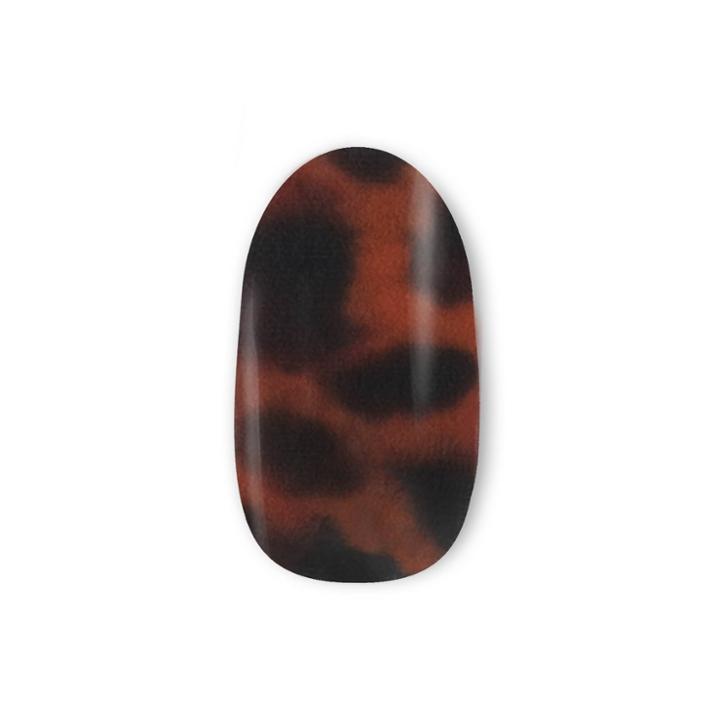 Kyutee Donatella Nail Art Kit