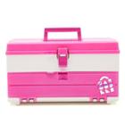 Caboodles Anniversary Case -