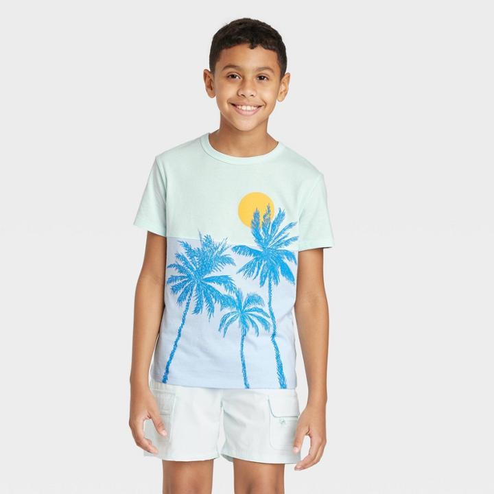 Boys' Short Sleeve Palm Tree Colorblock T-shirt - Cat & Jack Blue