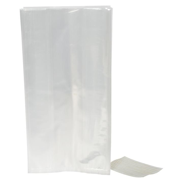 Spritz 20ct Clear Cello Favor Bag -