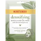 Burt's Bees Detoxifying Green Tea Biocellulose