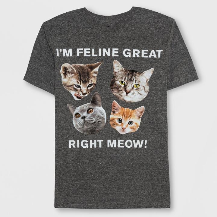 Well Worn Men's Short Sleeve Feline Great Graphic T-shirt - Asphalt Heather