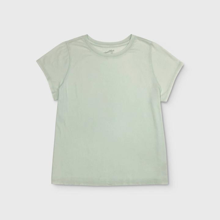 Women's Plus Size Short Sleeve T-shirt - Universal Thread Mint 1x, Women's, Size: