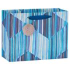 Papyrus Large Blue And Silver Striped Gift Bag,