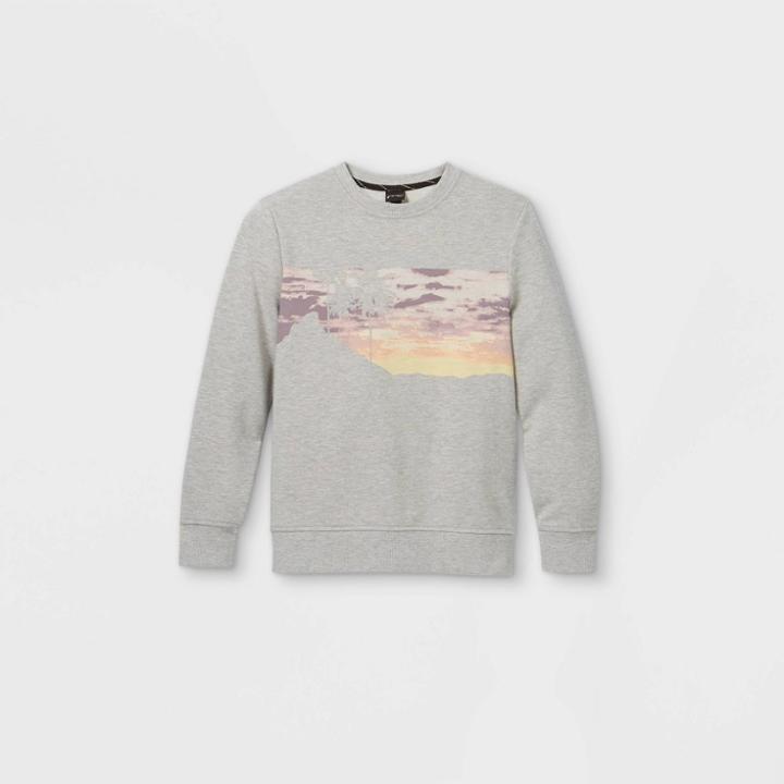 Boys' Palm Tree Scene Graphic Sweatshirt - Art Class Gray