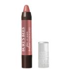Unscented Burt's Bees Gloss Lip Crayon Outback Oasis
