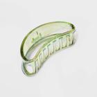 Jumbo Iridescent Claw Hair Clip - Wild Fable Green