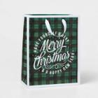 Merry Christmas Gift Bag Plaid - Wondershop
