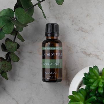 Sparoom 30ml Eucalyptus Essential Oil -