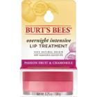 Burt's Bees Lip Treatment - Passion Fruit & Chamomile