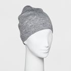 Women's Single Layer Ribbed Beanie - Wild Fable Gray