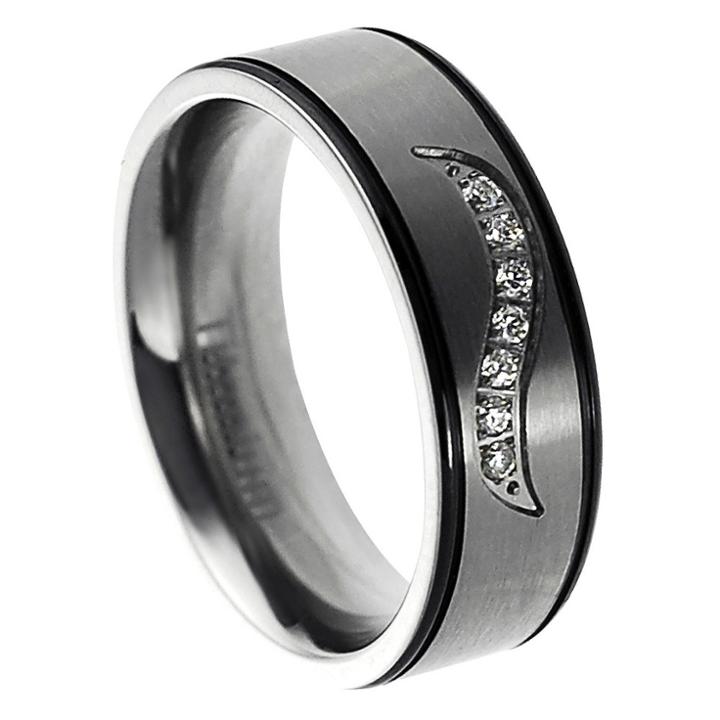Men's Daxx Cubic Zirconia Titanium Band - Silver