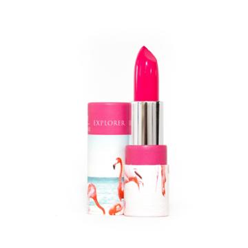 Defy & Inspire Defy And Inspire Lipstick Explorer
