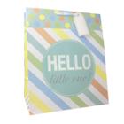Spritz Hello Little One Cub Gift Bag -