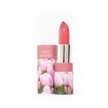 Defy & Inspire Defy And Inspire Lipstick Best Wishes