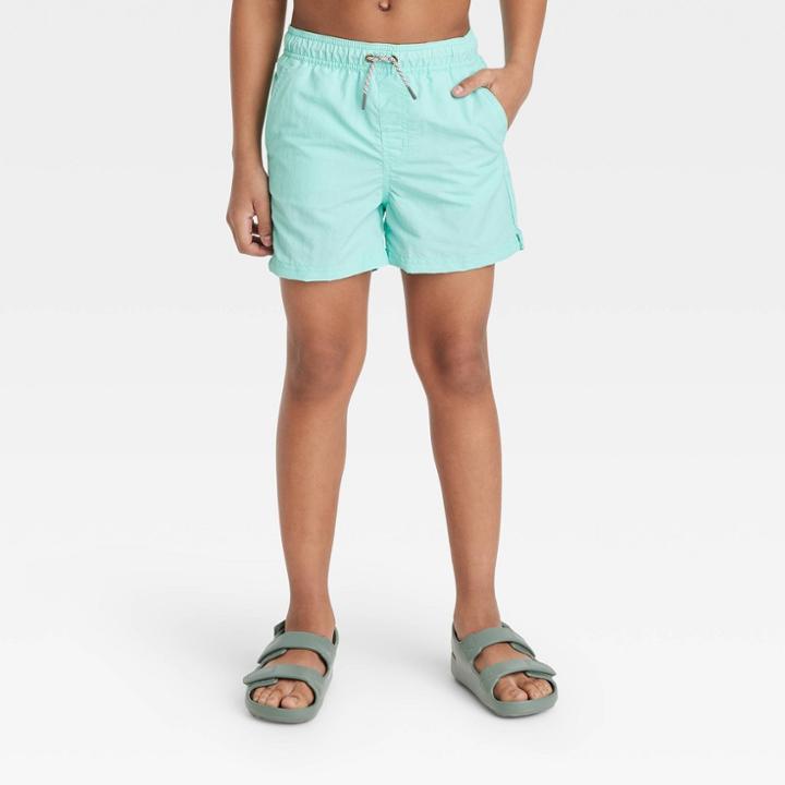 Boys' Solid Swim Trunks - Art Class