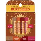 Burt's Bees Fall Lip Balm